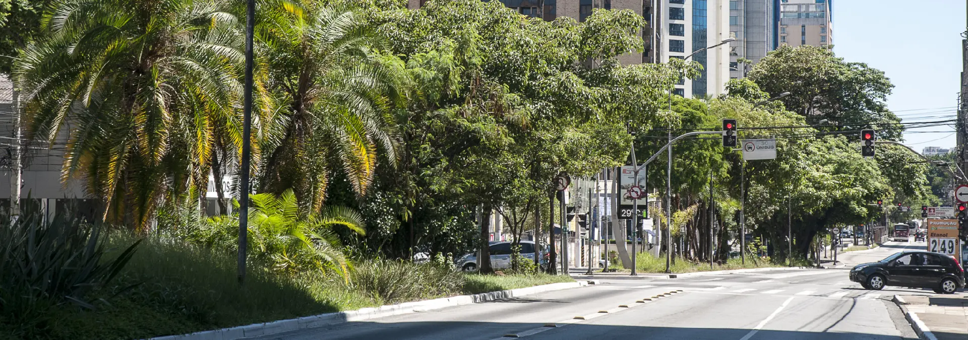 Bairro Moema: como é o bairro com um dos melhores IDH de SP
