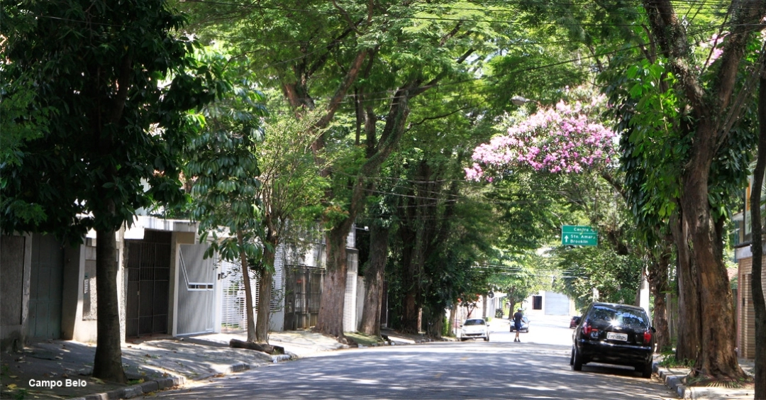 5 coisas para se fazer no Campo Belo